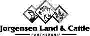jorgensen